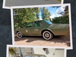 Grün Gebraucht 1976 Chevrolet Impala Limousine | 5.750 €
