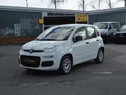 Weiß Gebraucht 2020 Fiat Panda Urban Kleinwagen | 9.800 € (Fairer Preis)