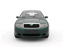 Grün Gebraucht 2007 Skoda Fabia Kleinwagen | 1.100 € (Superpreis)