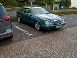 Grün Gebraucht 1998 Mercedes CLK430 Coupé | 3.000 € (Superpreis)