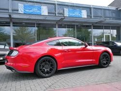 Rot Gebraucht 2019 Ford Mustang | 27.500 € (Fairer Preis)