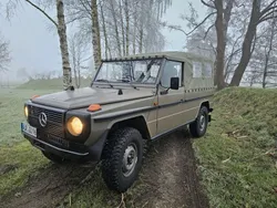 Mercedes G290
