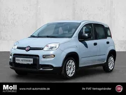 Grau Gebraucht 2023 Fiat Panda Kleinwagen | 12.940 € (Fairer Preis)