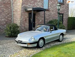 Grau Gebraucht 1988 Alfa Romeo Spider Quadrifoglio Verde Cabrio | 13.900 €
