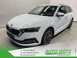 Weiß Gebraucht 2024 Skoda Octavia Style Kombi | 29.390 € (Superpreis)