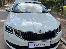 Weiß Gebraucht 2017 Skoda Octavia Drive Kombi | 14.500 € (Fairer Preis)