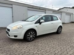 Weiß Gebraucht 2009 Fiat Punto Kleinwagen | 1.599 € (Fairer Preis)