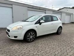 Weiß Gebraucht 2009 Fiat Punto Kleinwagen | 1.999 € (Etwas zu teuer)