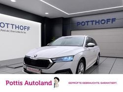 Weiss Gebraucht 2023 Skoda Octavia Style Kombi | 22.997 € (Guter Preis)