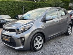 Grau Gebraucht 2023 Kia Picanto Vision Kleinwagen | 11.600 € (Guter Preis)