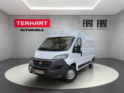 Weiss Gebraucht 2020 Fiat Ducato Van | 19.025 € (Fairer Preis)