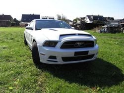 Weiß Gebraucht 2014 Ford Mustang Coupé | 22.900 €