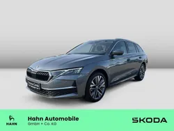 Grau Gebraucht 2025 Skoda Octavia Exclusive Kombi | 38.888 € (Fairer Preis)