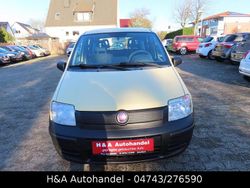 Gelb Gebraucht 2009 Fiat Panda Active Limousine | 2.499 € (Fairer Preis)