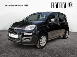 Schwarz Gebraucht 2020 Fiat Panda Easy Limousine | 7.220 € (Guter Preis)