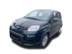 Schwarz Gebraucht 2024 Fiat Panda Kleinwagen | 15.249 € (Teuer)