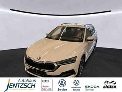 Weiß Gebraucht 2022 Skoda Octavia Clever Kombi | 26.990 € (Fairer Preis)