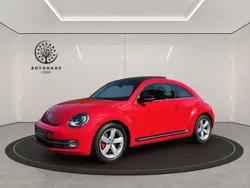 VW Beetle