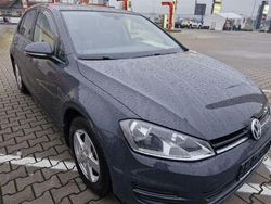 Grau Gebraucht 2017 VW Golf VII | 13.490 € (Superpreis)