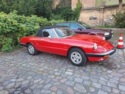 Rot Gebraucht 1989 Alfa Romeo Spider Cabrio | 12.700 €