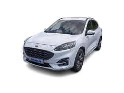 Weiß Gebraucht 2022 Ford Kuga ST-Line X SUV | 24.950 € (Fairer Preis)