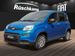 Blau Neu 2024 Fiat Panda Kleinwagen | 13.880 €