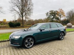 Grün Gebraucht 2016 Audi A4 Sport Kombi | 11.999 € (Superpreis)
