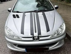 Grau Gebraucht 2005 Peugeot 206 CC Filou Cabrio | 1.499 € (Fairer Preis)