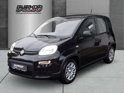 Schwarz Gebraucht 2024 Fiat Panda Cross Cross Kleinwagen | 13.980 € (Fairer Preis)