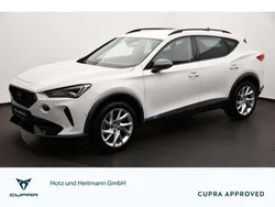 Candy weiss Gebraucht 2023 Cupra Formentor SUV | 25.850 € (Fairer Preis)