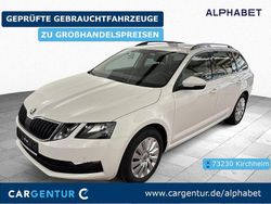 Weiß Gebraucht 2019 Skoda Octavia Ambition Limousine | 13.397 € (Fairer Preis)