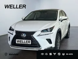 Weiss Gebraucht 2021 Lexus NX300h Executive Line SUV | 32.990 € (Fairer Preis)