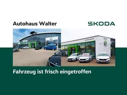 Blau Gebraucht 2022 Skoda Enyaq iV ecoSuite SUV | 33.900 € (Superpreis)