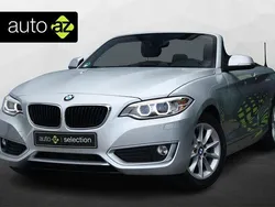 Grau Gebraucht 2016 BMW 218 Executive Cabrio | 18.900 € (Etwas zu teuer)