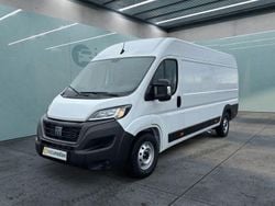 Weiß Gebraucht 2023 Fiat Ducato Van | 39.849 € (Teuer)