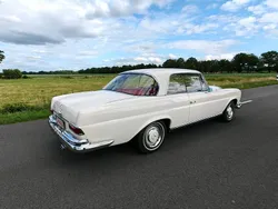 Gebraucht 1966 Mercedes W111 Coupé | 58.000 €