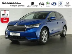 Blau Gebraucht 2023 Skoda Enyaq iV SUV | 33.924 € (Guter Preis)