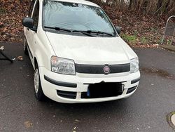 Weiß Gebraucht 2011 Fiat Panda Kleinwagen | 2.500 €
