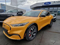 Orange Gebraucht 2023 Ford Mustang Mach-E Premium SUV | 50.995 € (Etwas zu teuer)