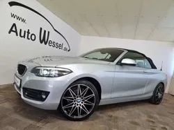 Silber Gebraucht 2018 BMW 218 Advantage Cabrio | 25.048 € (Teuer)