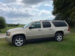 Beige Gebraucht 2017 Chevrolet Suburban SUV | 24.999 €