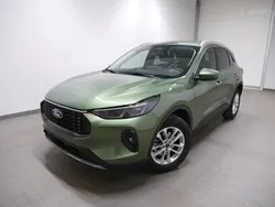 Ein traum in bursting green Gebraucht 2024 Ford Kuga Titanium SUV | 29.900 € (Guter Preis)