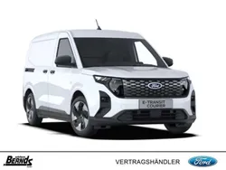 Frozen white Neu 2025 Ford E-Transit Trend Van | 30.940 € (Guter Preis)