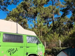 Grün Gebraucht 1986 VW T3 Van | 6.900 €
