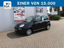 Schwarz Neu 2024 Fiat Panda Kleinwagen | 12.990 € (Guter Preis)
