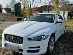 Weiß Gebraucht 2016 Jaguar XE Limousine | 7.799 € (Guter Preis)