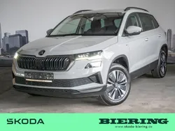 Grau Gebraucht 2022 Skoda Karoq Tour SUV | 20.490 € (Guter Preis)