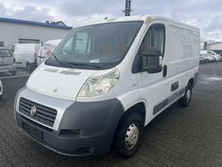 Weiss Gebraucht 2009 Fiat Ducato Van | 3.990 €
