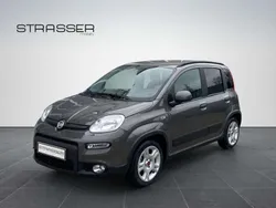 Colore esterno colosseo grau Gebraucht 2023 Fiat Panda Kleinwagen | 14.990 € (Teuer)