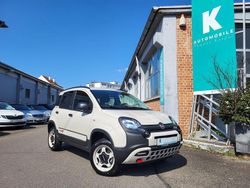 Beige Gebraucht 2023 Fiat Panda Kleinwagen | 21.900 €